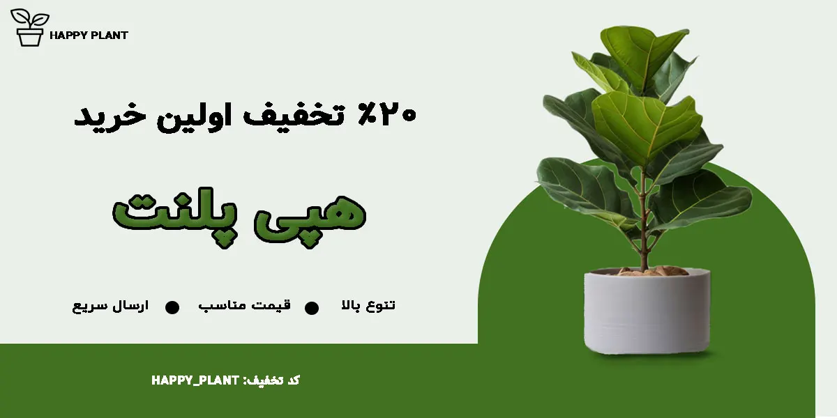 تخفیف اولین خرید